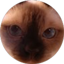 Profile photo of Debbie d