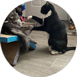 Profile photo of Christina Robinson