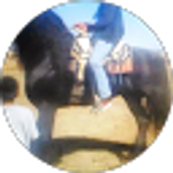 Profile photo of Manuel Salas
