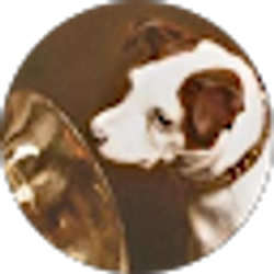Profile photo of Dave Lisiecki