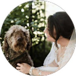 Profile photo of Robin Carroll