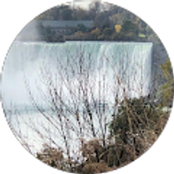 Profile photo of Amna Naviwala