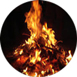 Profile photo of James Reade