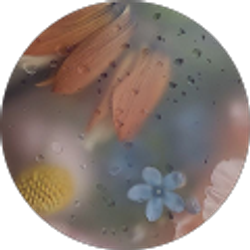 Profile photo of None Ya