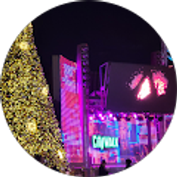 Profile photo of Alonso Majano