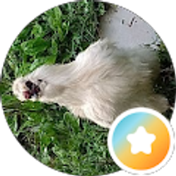 Profile photo of Wendy Manring