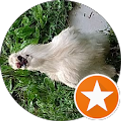 Profile photo of Wendy Manring