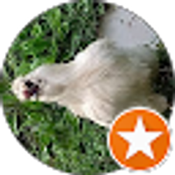 Profile photo of Wendy Manring