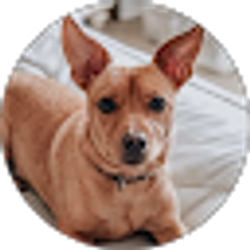 Profile photo of Kim Hammer