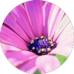 Profile photo of Lizzie Alcala