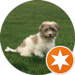 Profile photo of louis Debarbieri