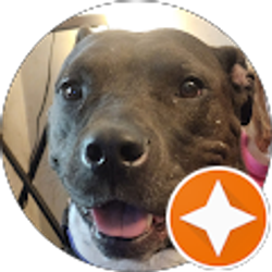 Profile photo of Krista Lewis