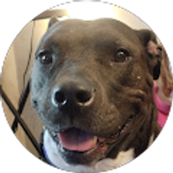 Profile photo of Krista Lewis