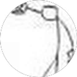 Profile photo of David Roberts