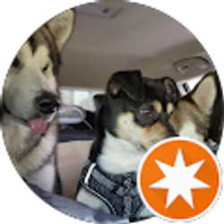 Profile photo of Joe Bringman