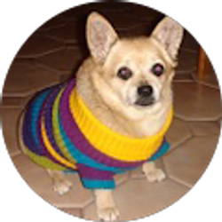 Profile photo of Hanako Hom