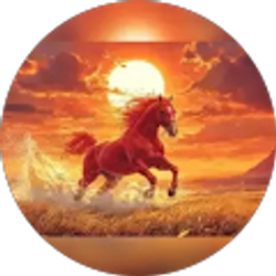 Profile photo of Shawn Mokhtari