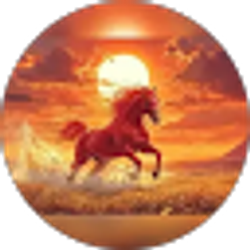 Profile photo of Shawn Mokhtari