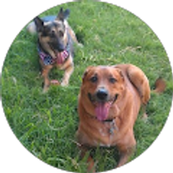 Profile photo of Colleen Udovich