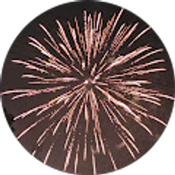 Profile photo of Marche Johnson