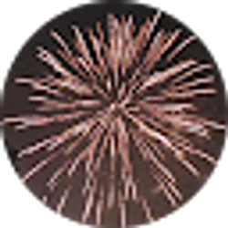 Profile photo of Marche Johnson