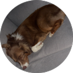 Profile photo of Gavin Walker