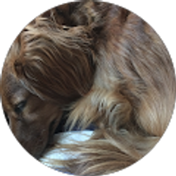 Profile photo of Andrew Milligan