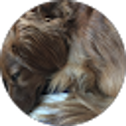 Profile photo of Andrew Milligan