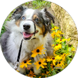 Profile photo of Sharna Weber