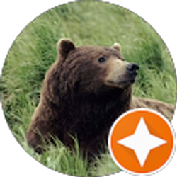 Profile photo of Andy Gibbs