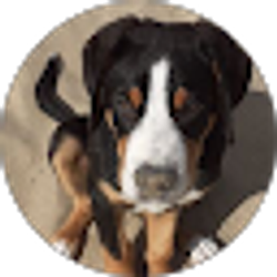 Profile photo of Puck Helmink