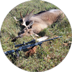 Profile photo of Jeremy Papenfuhs