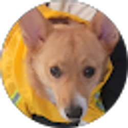 Profile photo of Serena Yu