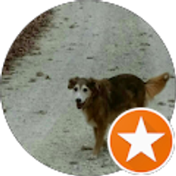 Profile photo of Mary Detjen