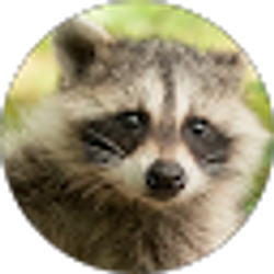 Profile photo of Andrew Galoff