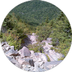 Profile photo of Andrew Johnsen