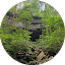 Profile photo of Jake Shoemaker