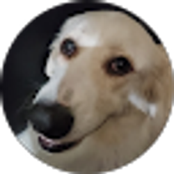 Profile photo of jeff molina