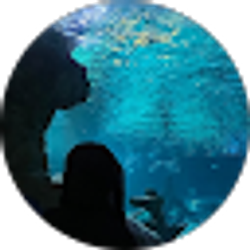Profile photo of Asmaa Hussein