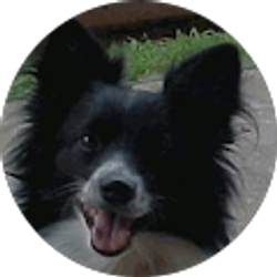 Profile photo of J. Johnston