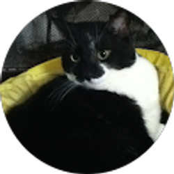 Profile photo of Sandra Sancen