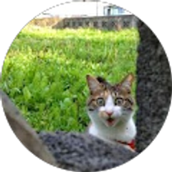 Profile photo of Hunter Ruggles