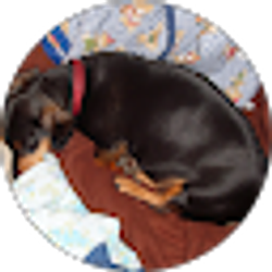 Profile photo of Bill