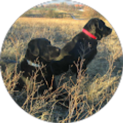 Profile photo of Sherry Martin