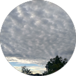 Profile photo of Sarybel Garcia