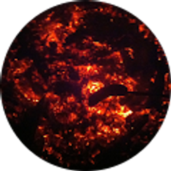 Profile photo of Bill Johnson