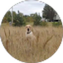 Profile photo of Janell Thomas