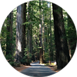 Profile photo of Pamela Holmes