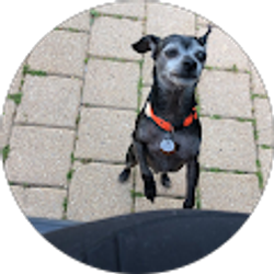 Profile photo of Emily Rodriguez