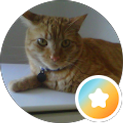 Profile photo of Brent Miller